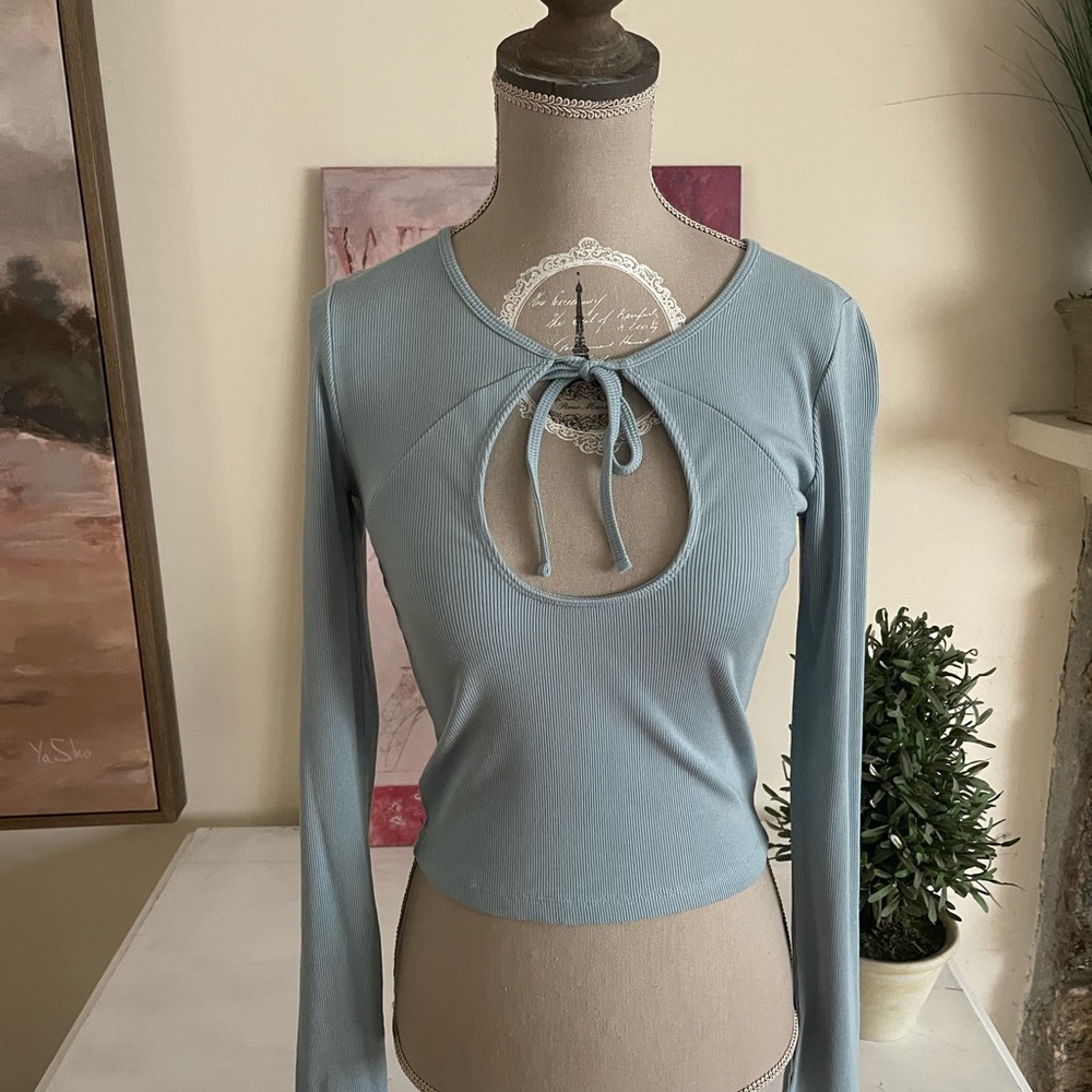 Aritzia Wilfred Baby Blue Large Keyhole Top